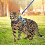 PUPTECK Cat Harness and Leash Set Escape Proof, Reflective Adjustable Soft Mesh Kitten Vest Harness for Walking Travel, Blue, M