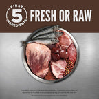 ORIJEN Grain Free High Protein Premium Dry Cat Food Regional Red Recipe 4lb Bag