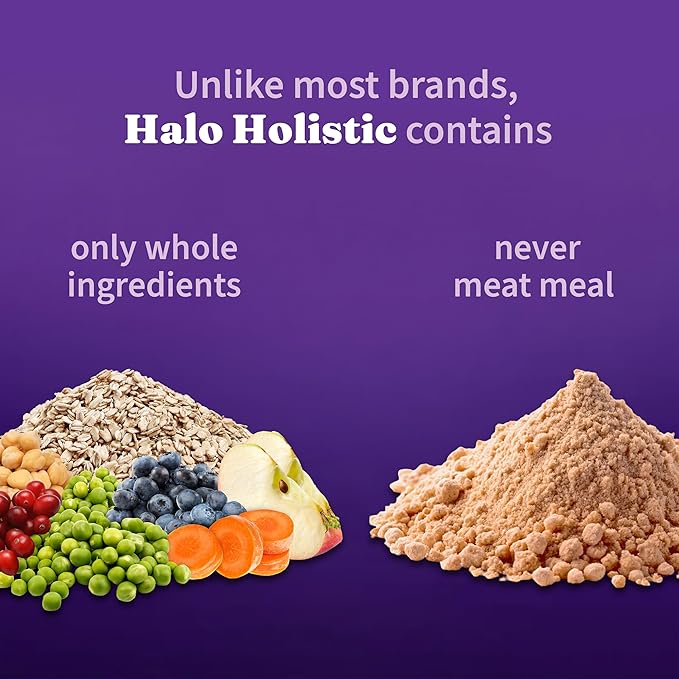 Halo Holistic Vegan Dog Food, Plant-Based Recipe with Kelp, Dry Dog Food, Complete Digestive Health, Kibble for Adult Dogs, 21 lb Bag