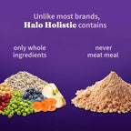 Halo Holistic Vegan Dog Food, Plant-Based Recipe with Kelp, Dry Dog Food, Complete Digestive Health, Kibble for Adult Dogs, 21 lb Bag