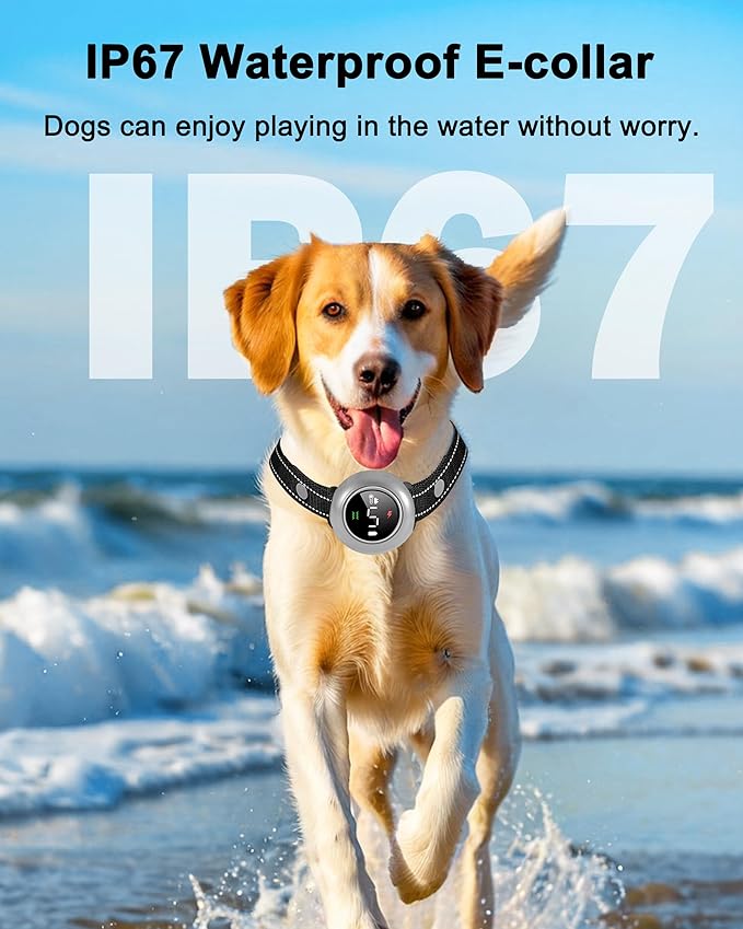 2-in-1 Dog Shock Collar & Dog Bark Collar - Rechargeable Dog Training Collar with Remote Control for 5-150 lbs, Dog Collars 5 Sensitivity Levels, IP67 Waterproof for Large Medium Small Dogs