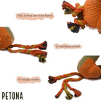 Squeaky Plush Dog Toys, Tug of War Dog Toy, Chicken Plush Puppy Toys with Pull Rope, Interactive Dog Toys for Small, Middle, and Big Dogs (Hen)