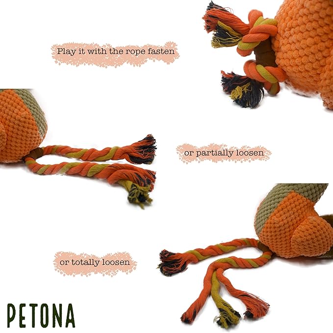 Squeaky Plush Dog Toys, Tug of War Dog Toy, Chicken Plush Puppy Toys with Pull Rope, Interactive Dog Toys for Small, Middle, and Big Dogs (Hen)