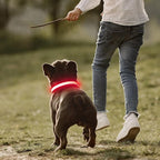 Light up Dog Collars- USB Rechargeable LED Dog Collar, Full Illuminated and Adjustable Dog Collar Light, Three Colors and Three Sizes for Small, Medium, Large Dogs (Medium, Pink-2)