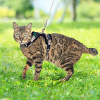 PUPTECK Cat Harness and Leash Set Escape Proof, Reflective Adjustable Soft Mesh Kitten Vest Harness for Walking Travel, Camouflage, M