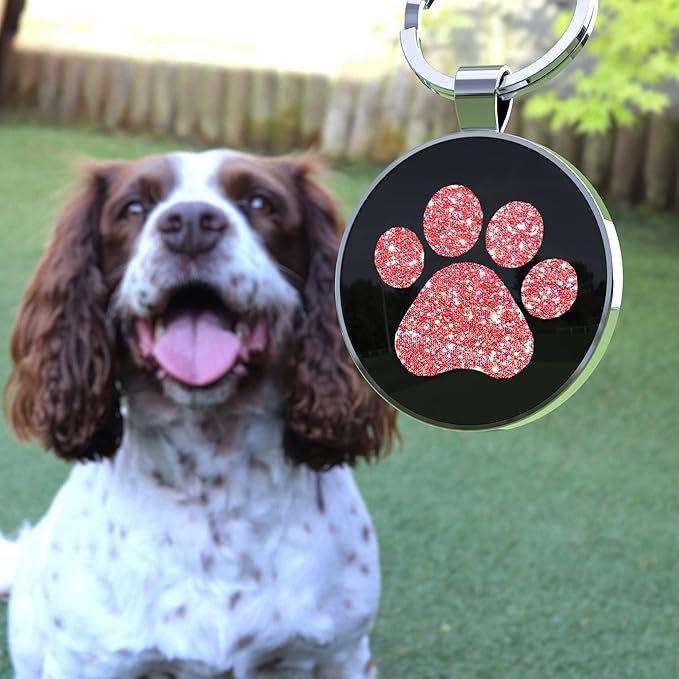Personalized Dog Tags with QR Code - Custom Dog Name Tags, Smart Pet ID Tags, Free Online Scan for Instant Pet Location Alert Email