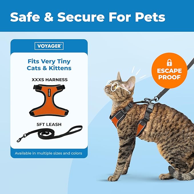 Voyager Escape-Proof Step-in Lock Cat Harness & 5ft Neoprene-Handle Leash Set All-Weather Mesh with Reflective Stitching for Small to Large Cats by Best Pet Supplies, Black Trim-Orange (327), XXXS
