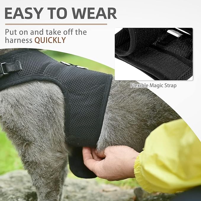 PUPTECK Soft Mesh Cat Vest Harness and Leash Set Puppy Padded Pet Harnesses Escape Proof for Cats Small Dogs Rabbits Bunny(Small, Black)