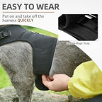 PUPTECK Soft Mesh Cat Vest Harness and Leash Set Puppy Padded Pet Harnesses Escape Proof for Cats Small Dogs Rabbits Bunny, Black Large