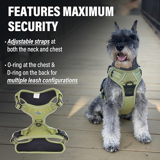 Doggie Design Venture Paw No Pull Dog Harness - Simple Adjustable Puppy Harness - Anti Pull Dog Collar for Walks and Outdoor Adventures - Aspen, L