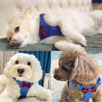 Puppytie No Pull Small Dog Harness with Multifunction Dog Leash,Lightweight Soft Adjustable No Choke Escape Proof Pet Harness Vest Pet Harness Vest,Plaid Blue,S