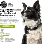 ANP Super Multi-Vitamin, Natural No Animal Proteins, 60 Soft Chews for Dog Gut Health and Immune System, CoQ10, Probiotics 5M CFUs and Glucosamine