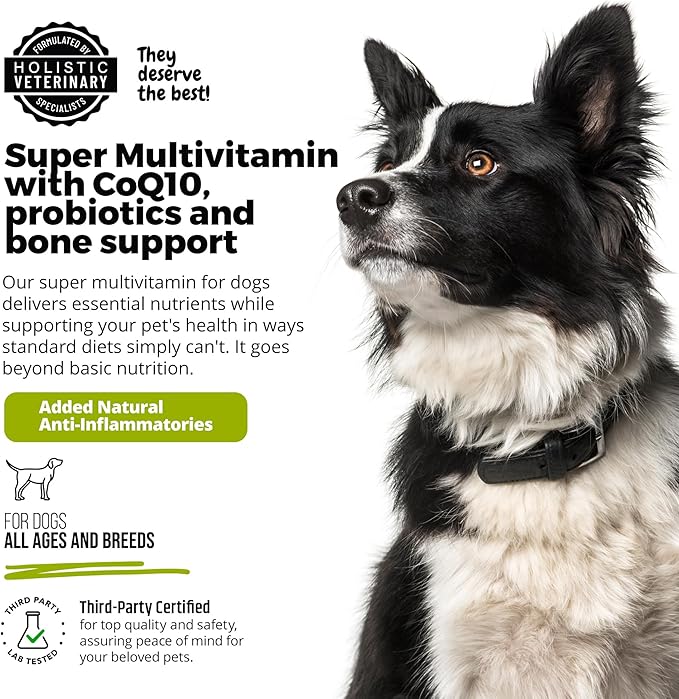 ANP Super Multi-Vitamin, Natural No Animal Proteins, 60 Soft Chews for Dog Gut Health and Immune System, CoQ10, Probiotics 5M CFUs and Glucosamine