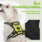 rabbitgoo Dog Harness No Pull with 2 Leash Clips, Adjustable Soft Padded, Reflective Oxford No Choke Pet Vest with Easy Control Handle for Puppy, Green, XS