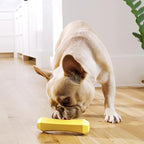 Playology Squeaky Dog Toy Fetch Stick | Durable Rubber Toys for Interactive Play | Chicken Scented Fetch Stick for Medium Dogs, Value 2-Pack | Floating Dog Toy Made from Non Toxic Materials