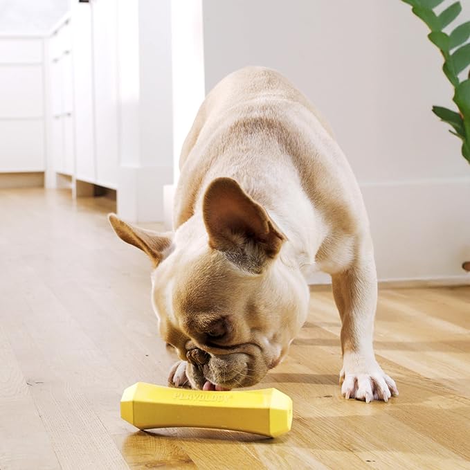 Playology Squeaky Dog Toy Fetch Stick | Durable Rubber Toys for Interactive Play | Chicken Scented Fetch Stick for Medium Dogs, Value 2-Pack | Floating Dog Toy Made from Non Toxic Materials