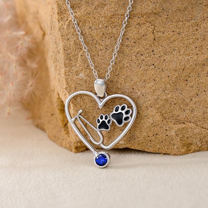 Birthstone Veterinary Stethoscope Necklace 925 Sterling Silver Nurse Vet Pendant with Dog Paw Nurse Jewelry Gifts for Veterinarian Nurse Women Veterinarian Gifts