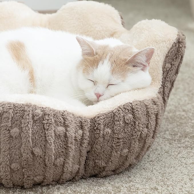 Hollypet Cozy Cat Beds for Indoor Cats - Cute Cactus Pet Beds, Fluffy Puppy Bed, Non-Slip Extra Small Dog Bed, Brown