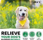 Dog Allergy Relief Chews - Dog Itching Skin Relief Treatment Pills - 170 Treats - Anti-Itch - Itchy and Paw Licking - Hot Spots - Omega 3 Fish Oil - Dry Skin & Coat Supplement - Beef Liver Flavor