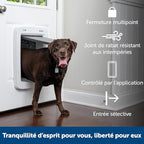 PetSafe SmartDoor App-Controlled Pet Door (Large), Made for Multiple Pets, Selective Entry and Exit, Control Through Your Phone, Smart Dog Door, Wi-Fi Enabled (White - Large)