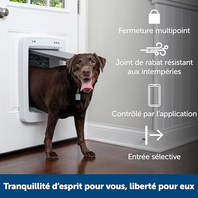 PetSafe SmartDoor App-Controlled Pet Door (Large), Made for Multiple Pets, Selective Entry and Exit, Control Through Your Phone, Smart Dog Door, Wi-Fi Enabled (White - Large)