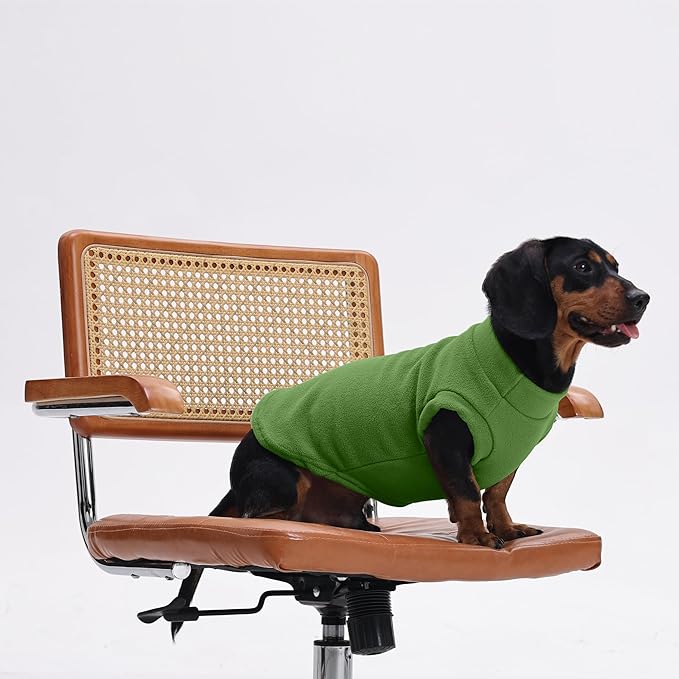 PUMYPOREITY Fleece Sphynx Cat Clothes, Warm Thick Cat Sweater, Soft Winter Coat for Hairless Cats, Cold Weather Pet Sweater for Dogs and Cats, Green, 2XL