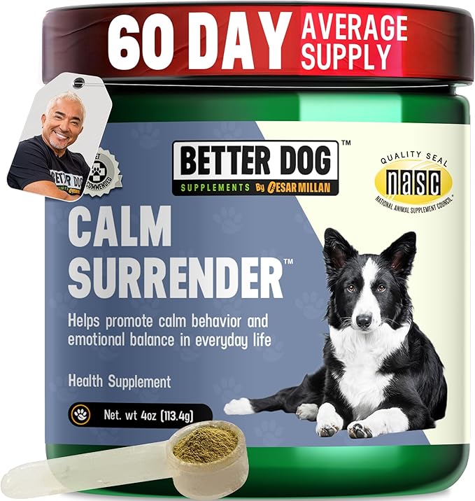 Better Dog Supplements Calm Surrender by Cesar Millan – Natural Dog Calming Powder for Stress, Anxiety, Grooming, Travel & Thunderstorms – Catnip, Chamomile & Valerian – 4oz, (60-Day Supply)