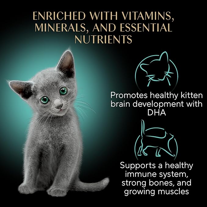 Sheba Perfect Portions Kitten Wet Cat Food Pate Chicken Entree and Salmon Entree, 2.6 oz. Twin-Pack Trays (12 Count, 24 Servings) (Pack of 2)