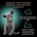 Sheba Perfect Portions Kitten Wet Cat Food Pate Chicken Entree and Salmon Entree, 2.6 oz. Twin-Pack Trays (12 Count, 24 Servings) (Pack of 2)