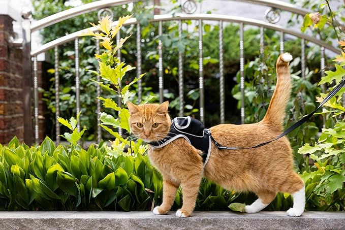 Travel Cat & Stray Cat Harness and Leash Set - Adjustable Velcro Mesh Cat Harness and Strong Nylon Leash Kit - Comfort Escape Proof Harness for Cats, Kitten for Outdoor Walking (Large: 13-16 in)