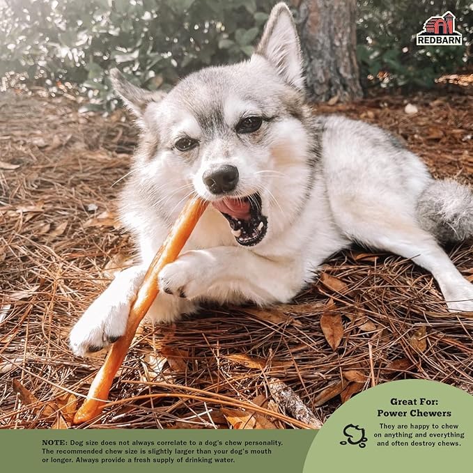 Redbarn Pet Products Natural Small Collagen Sticks for Dogs - Long Lasting Alternative to Traditional Rawhide & Bully - Supports Joint, Skin, & Coat Health - Case of 25
