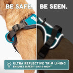 Embark Adventure Dog Harness, No-Pull Reflective Trim Dog Harness for Small, Medium & Large Dogs - Military Grade Nylon, 2 Leash Clips & Gel Lined Handle. Soft & Padded Puppy Dog Vest for Any Breed