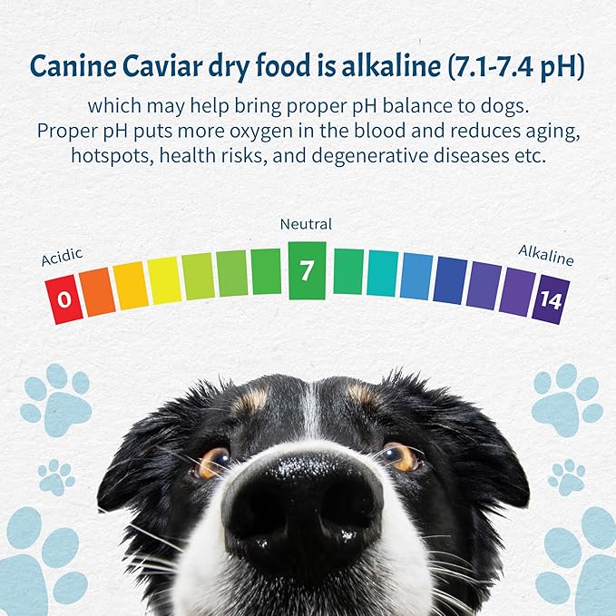 Canine Caviar - Special Needs: Trout & Whole Ground Oats, Alkaline Dry Dog Food, Limited Ingredients, Gluten-Free, Based on Science & Research, Veterinary Alternative Diet (22 Pound Bag)