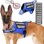 Service Dog Vest Harness+ID Tag+10 Patches,Metal Serivce Dog Tag&Reflective Emotional Support Dog Vest with Handle for Large Dogs,Easy Put On/Off for Training/Walking/Everyday Blue L