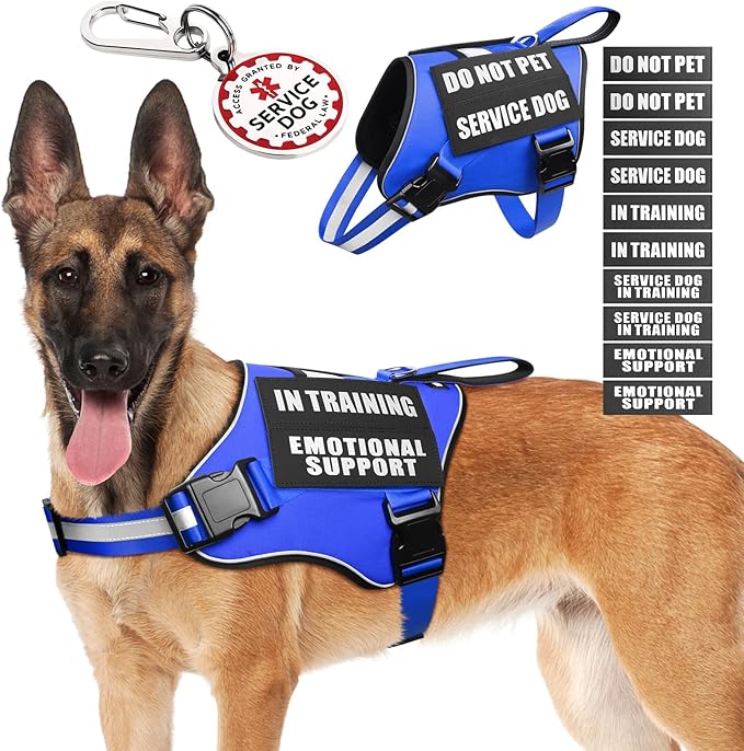 Service Dog Vest Harness+ID Tag+10 Patches,Metal Serivce Dog Tag&Reflective Emotional Support Dog Vest with Handle for Large Dogs,Easy Put On/Off for Training/Walking/Everyday Blue L