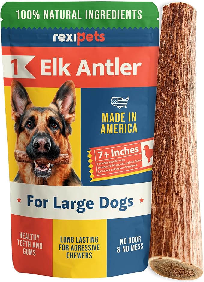 100% Natural - Elk Antlers for Dogs - Naturally Shed in USA - Long Lasting Chews for Aggressive Chewers - Natural, Real Dog Antler Treats & Toys - Dog Chews - No Odor & No Mess - Large