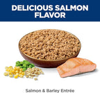 Hill's Science Diet Adult 1-6, Adult 1-6 Premium Nutrition, Wet Dog Food, Salmon & Barley Loaf, 13 oz Can, Case of 12