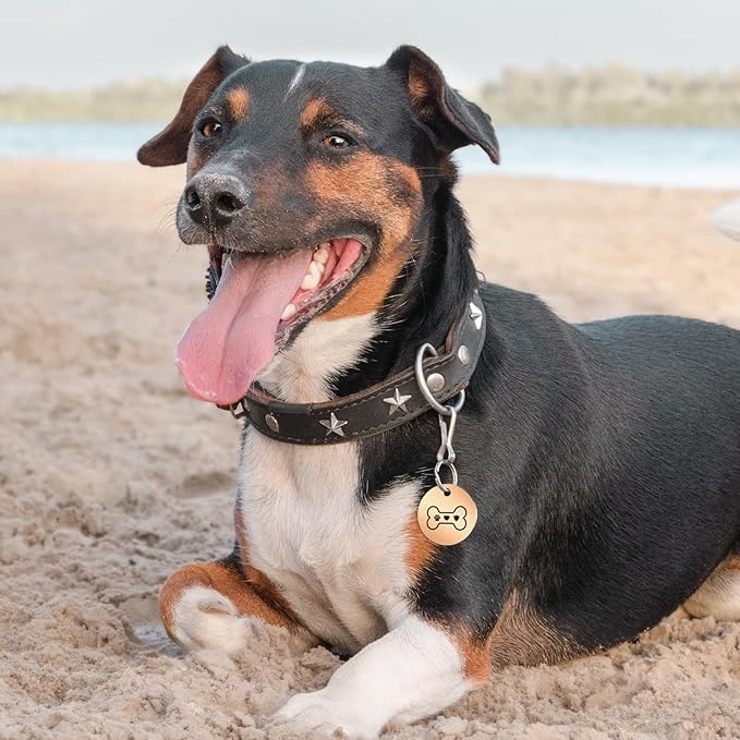 MYLUCKYTAG Stainless Steel QR Code Dog Tags - Scan QR for Instant Pet Location Alerts