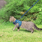 BINGPET Cat Harness with Leash Escape Proof - Fashionable Mesh Cat Dog Walking Harness Leads, Adjustable for Kitties Puppies Small Animals,Galaxy,XL