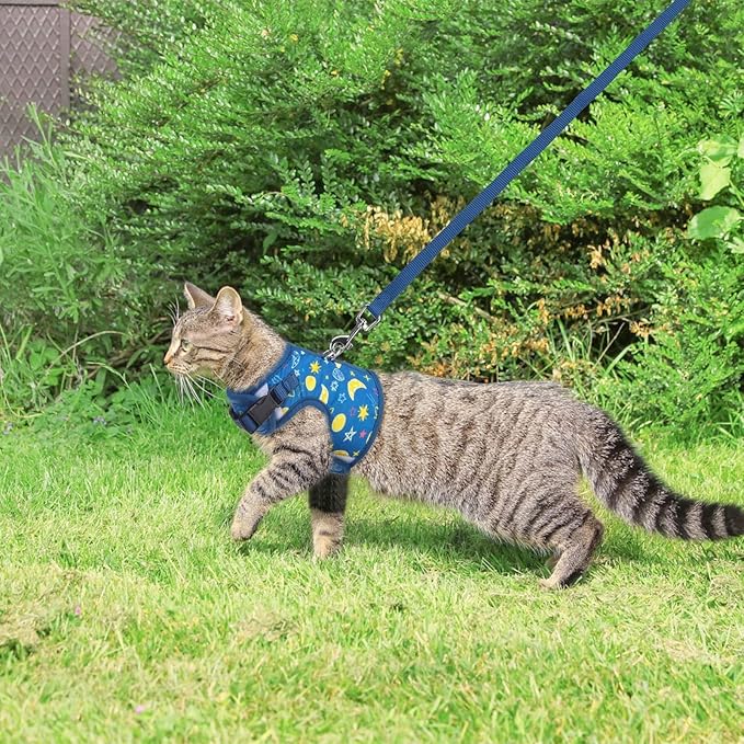 BINGPET Cat Harness with Leash Escape Proof - Fashionable Mesh Cat Dog Walking Harness Leads, Adjustable for Kitties Puppies Small Animals,Galaxy,L
