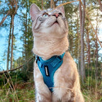 Voyager Escape-Proof Step-in Lock Cat Harness & 5ft Neoprene-Handle Leash Set All-Weather Mesh with Reflective Stitching for Small to Large Cats by Best Pet Supplies, Turquoise, XXS