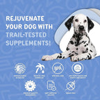 waggedy Calm with Melatonin - Calming Chews for Dogs to Manage Stress & Anxiety Relief — Pet Calming Treats for Travel, Fireworks & Separation — Dog Supplements & Vitamins (60 Chews)