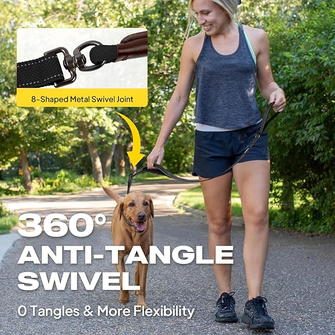 Fida 2-in-1 Slip Leads for Dogs with Double Handles, Tangle Free Leash for Large Dogs That Pull, Heavy Duty No Pull Training Leash Reflective Soft Padded for Large & Medium Breed(6ft,Black)