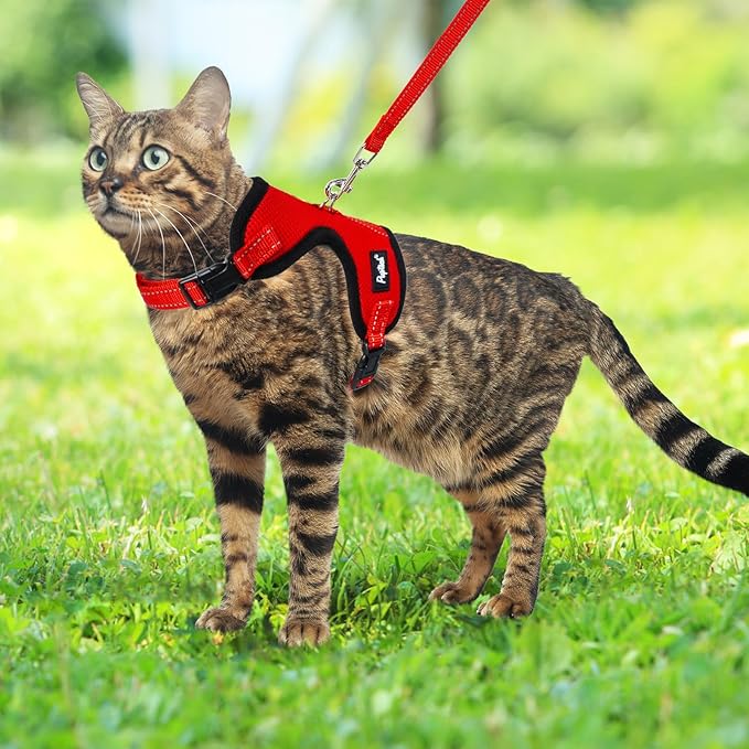 PUPTECK Cat Harness and Leash Set Escape Proof, Reflective Adjustable Soft Mesh Kitten Vest Harness for Walking Travel, Red, M