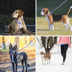 Lynxking Dog Leash Slip Lead Reflective Breathable Rope Comfortable Strong No Pull Slip On Pet Training Lead for Dogs