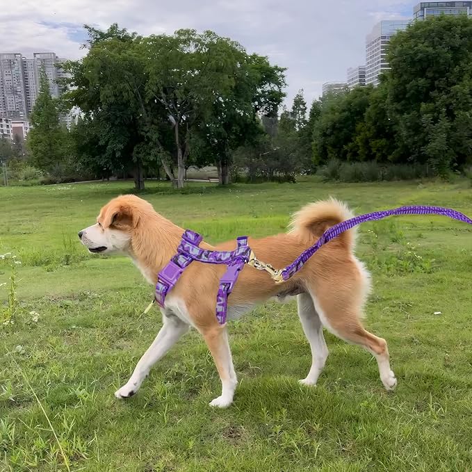 2 Pack Cat Harness and Leash Set with Collar, Escape Proof & Adjustable Kitten Harness for Small to Medium Cats, Walking & Travel Set (Black + Purple)