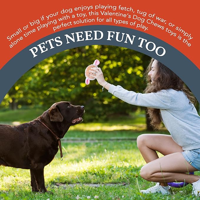 Flourish Pets 2 in 1 Multi-Layer Chew Toy for Active Dogs | Non-Toxic BPA Free Double Stitched Soft Fabric Exterior Dog Toys | Long-Lasting Dog Plush Toys – Easter 3.5" (2 Pack)