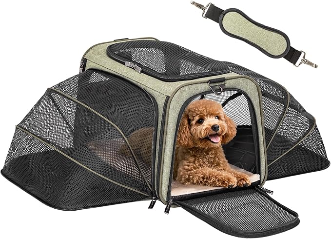 Petsfit Expandable Cat Dog Carrier Airline Approved, 17" L x 11" W x 11" H Soft-Sided Portable Pet Travel Carrier for Kitten, Puppy, Removable Soft Plush Mat and Pockets, Auto-Locking Zippers
