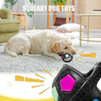 Dog Toy Ball with Handle, Toss and Fetch Play, Interactive Ball for Dogs Playing, Squeaky Floating (Black)