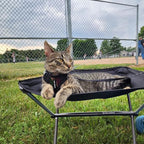 Voyager Escape-Proof Step-in Lock Cat Harness & 5ft Neoprene-Handle Leash Set All-Weather Mesh with Reflective Stitching for Small to Large Cats by Best Pet Supplies, Army/Black Trim, XS